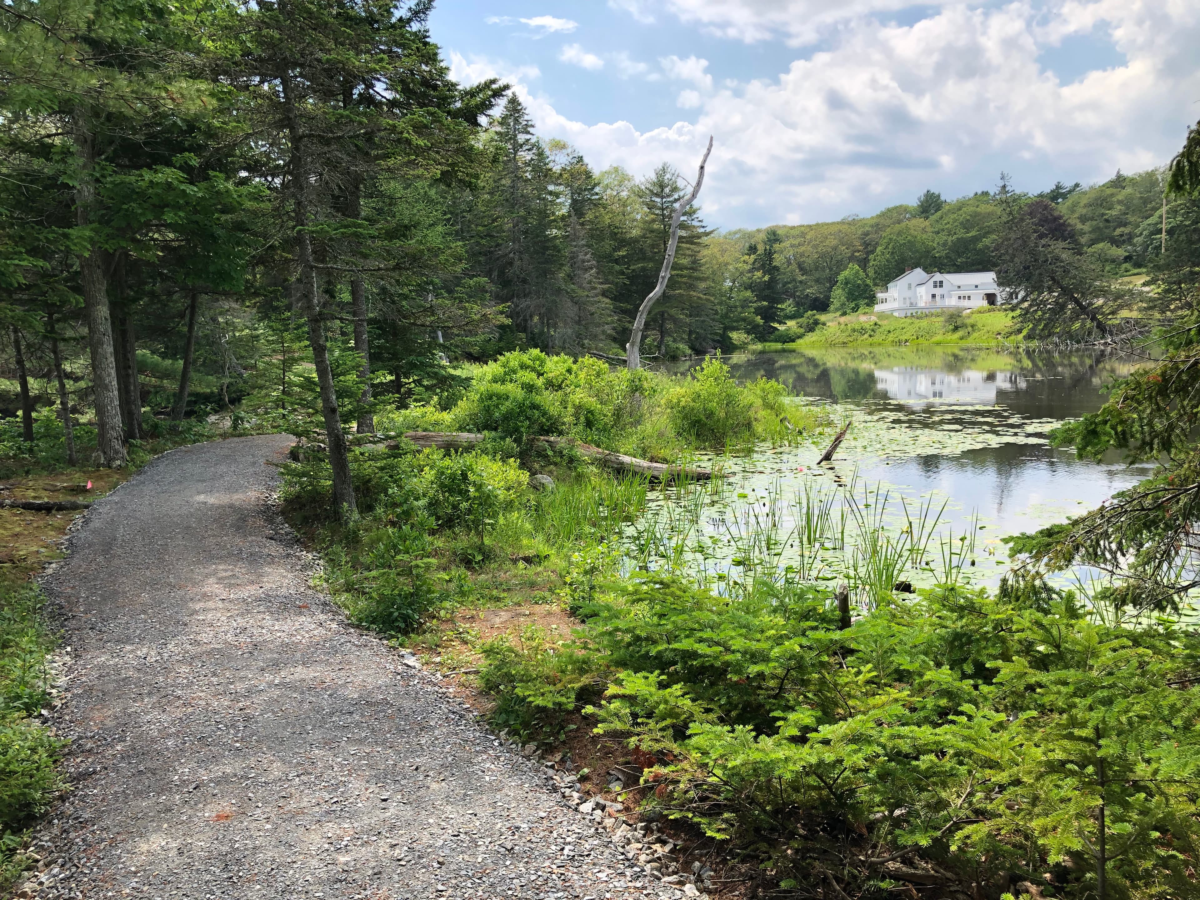 A winding gravel path bordered by lush greenery leads to a tranquil pond with a white house in the distance.